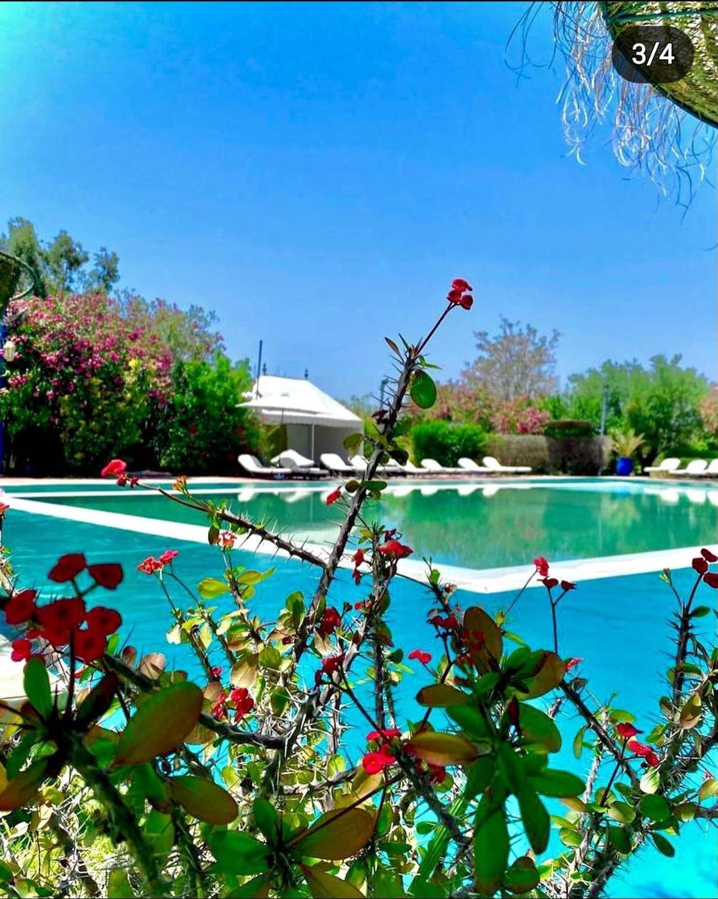 Les Jardins D Isis Hotel Marrakesh Ngoại thất bức ảnh